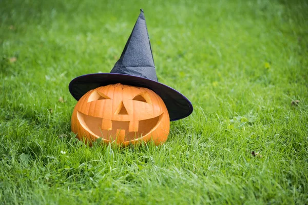 Halloween Dynia Noszenie Kapelusz Czarownicy — Zdjęcie stockowe