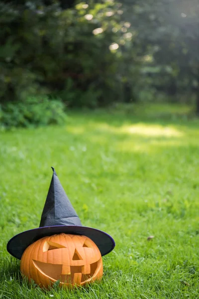 Halloween Pompoen Met Heksenhoed — Stockfoto