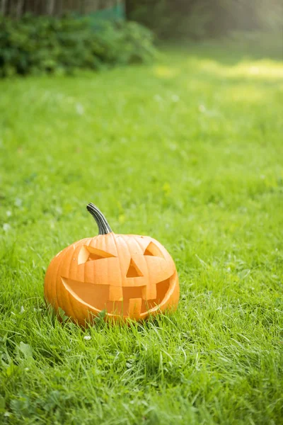 Halloween Kürbis Auf Gras Garten — Stockfoto