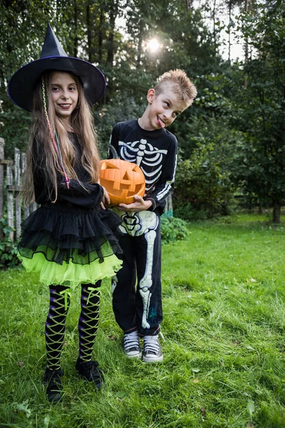 Dzieci Kostiumy Halloween Trzyma Dyni — Zdjęcie stockowe