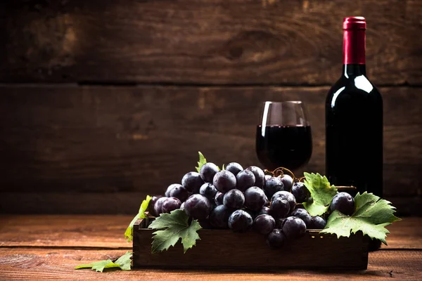 Red Wine Fresh Vine Grapes Stock Image
