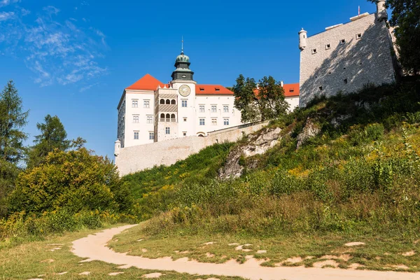 Tarihi kale Pieskowa Skala Polonya Krakow yakınındaki Ojcow içinde.