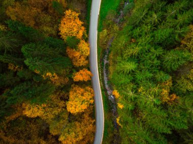 Yukarıdan aşağı virajlı yol yalak sonbahar orman üzerinde dron görünümü.