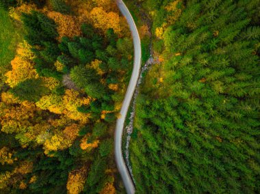 Renkli orman ve virajlı yol, yukarıdan hava dron görünümü.
