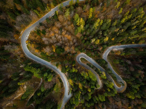 曲がりくねった道を山 秋の森 無人爆撃機の上からの眺め — ストック写真