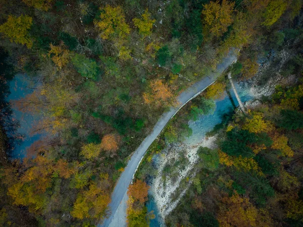 Divje Jezero Lac Sauvage Phénomène Géologique Slovénie — Photo