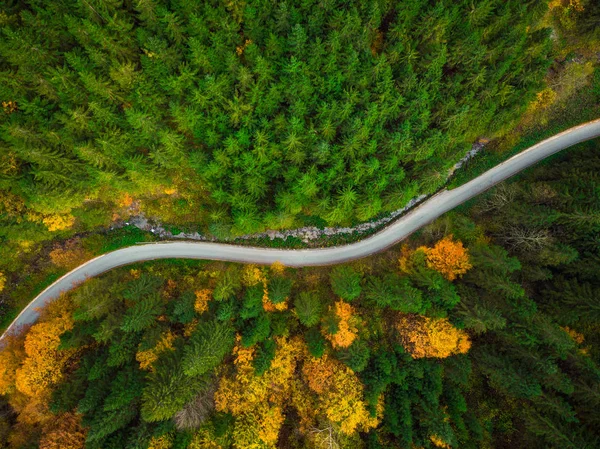 Herbstliches Laub Wald Und Verwinkelte Straße Drohnen Luftaufnahme — Stockfoto