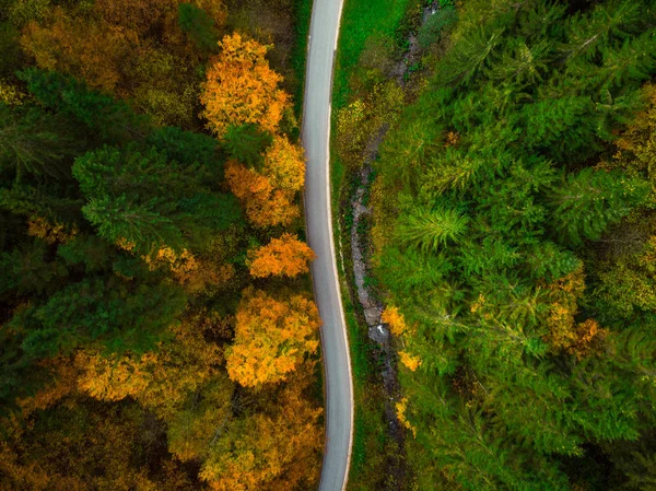 Draufsicht Auf Kurvenreicher Straße Durch Den Herbstwald — Stockfoto