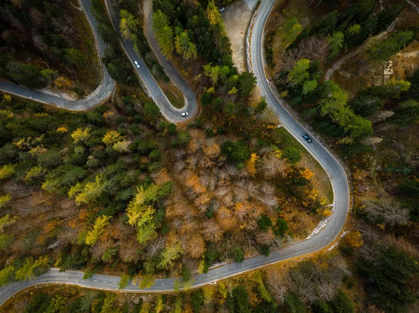 Kurvige Straße Durch Einen Wald Von Oben Nach Unten — Stockfoto