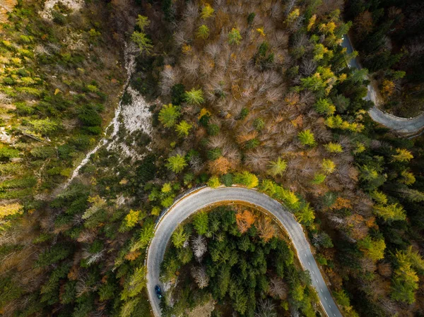 Curvy Δρόμο Γούρνα Atumn Δάσος Εναέρια Πάνω Προς Κάτω Άποψη — Φωτογραφία Αρχείου