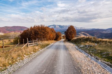Sonbahar ağaçlar ve dağlar Bosna'da boş asfalt yol.