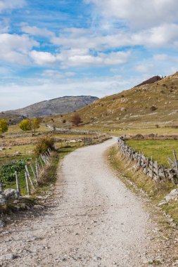 Bosna dağlarda uzak kırsal yol.