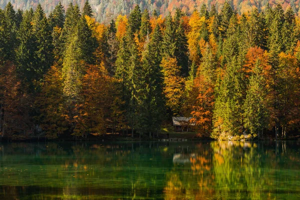 Colorful Autumn Trees Reflection Lake Water — Stock Photo, Image