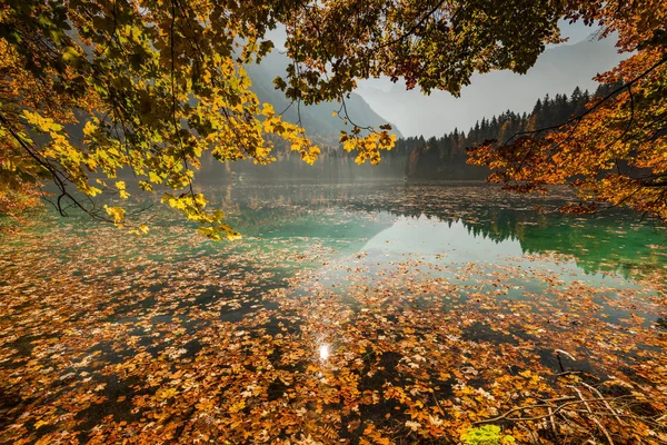 Όμορφα Φύλλα Φθινοπωρινά Χρώματα Στη Λίμνη — Φωτογραφία Αρχείου