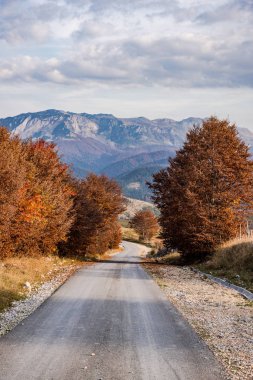 Sonbahar ağaçlar ve dağlar Bosna'da boş asfalt yol.