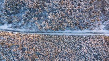 Boş yol hava yukarıdan aşağı görünüme kış ormanda.
