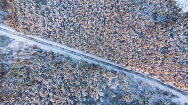 Boş yol hava yukarıdan aşağı görünüme kış ormanda.