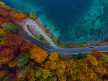 Curvy yolda çukur sonbahar orman ve göl.