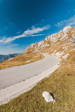 Boş yol yüksek dağlarında sonbahar renkleri.