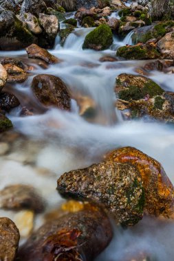 Su akışı vahşi dağ Creek, uzun pozlama.