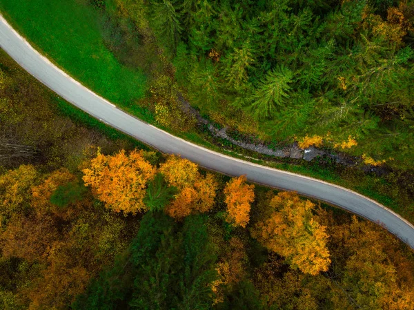 Sonbahar Orman, dron görünümü üst.