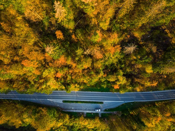 Asfalt yol yalak orman Güz, anteni yukarıdan aşağı üst.