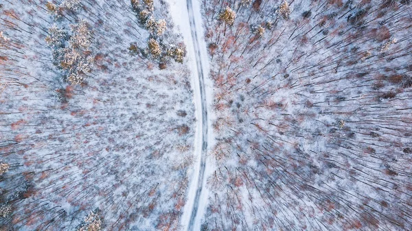 Αγροτικό Δρόμο Στο Χιονισμένο Δάσος Εναέρια Πάνω Προς Κάτω Άποψη — Φωτογραφία Αρχείου