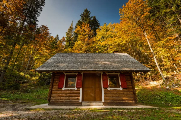 カラフルな秋の森で小さな木の小屋 — ストック写真
