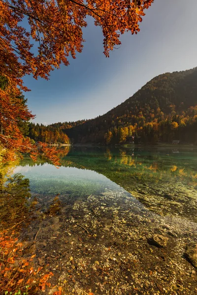 Autumn vibrant colors over alpine lake and forest.