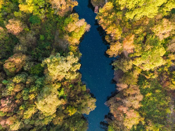 Rio Azul Fluxo Através Floresta Cima Para Baixo Aérea — Fotografia de Stock