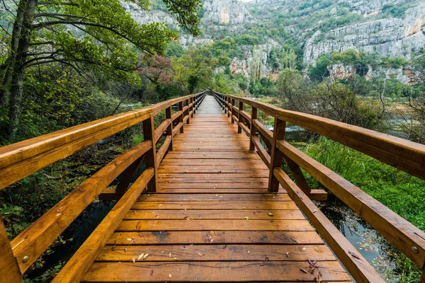 Træbro Krka National Park Kroatien - Stock-foto