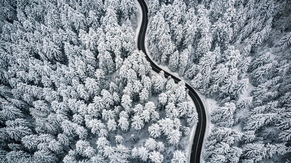 Zakřivená Větrná Cesta Sněhem Pokrytém Lese Shora Dolů Letecký Pohled — Stock fotografie