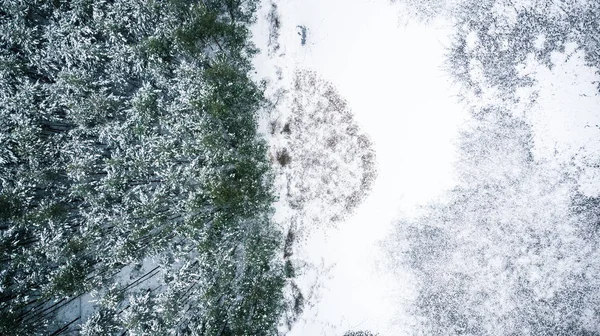 Antenowe Drone Widok Zamarzniętym Jeziorze Lesie — Zdjęcie stockowe