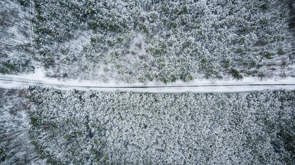 Kış sezon hava yukarıdan aşağıya ormandaki bir düz çizgi yol görünümünü.