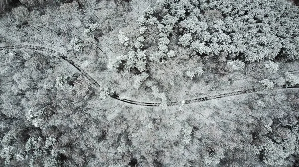 Aerial top down drone view over road in winter woodland.