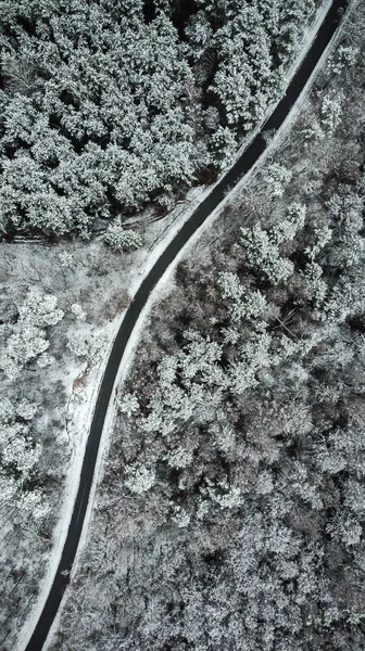 Επαρχιακό Δρόμο Μέσα Από Όμορφο Χιόνι Κάλυψε Τοπία — Φωτογραφία Αρχείου