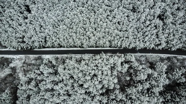 Strada Campagna Attraverso Bellissimi Paesaggi Innevati — Foto Stock