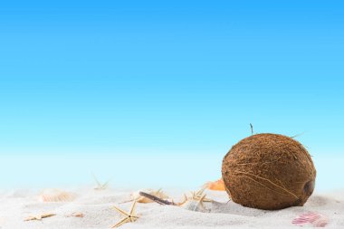 Yaz gevşeme egzotik kumlu plaj kavramı