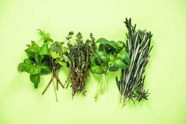 Bahçe taze otlar koleksiyonu