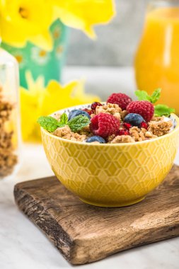 Granola, süt ve meyve meyveleri ile kahvaltı kase