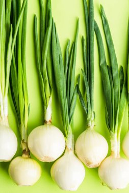 Bahar taze soğan düz pastel arka plan üzerinde yatıyordu