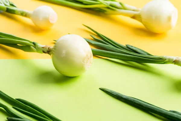 Contemporary food image, onion on pastel background — Stock Photo, Image