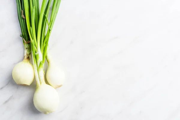 Fresh spring onions on marble table — Stock Photo, Image