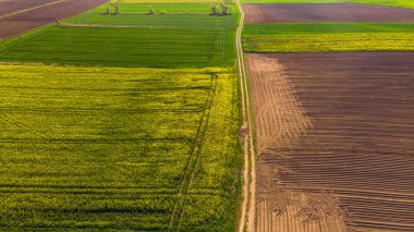 İlkbaharda renkli tarım tarım arazisi, havadan insansız hava aracı görünümü