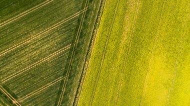 Tarım arazilerinde mahsul tarlalarında renkli desenler, havadan görünüm, insansız hava aracı