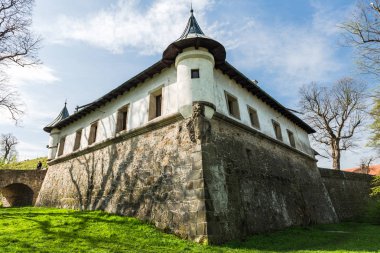  Rönesans ve Barok Şatosu Nowy Wi?
