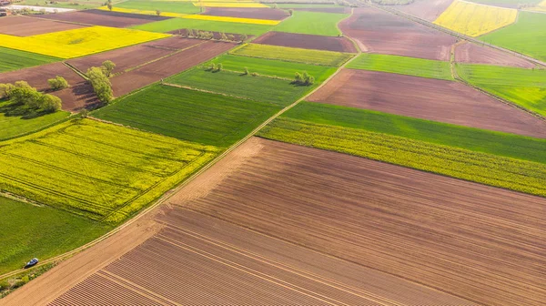 Terres agricoles colorées au printemps, vue aérienne sur les drones — Photo