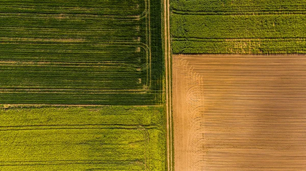 Gelbe Rapsfelder und pflügender Boden, Drohnenaufnahme aus der Luft — Stockfoto