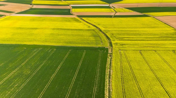 Champs agricoles colorés au printemps, vue aérienne sur drone — Photo