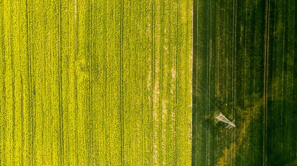 Красочные узоры на полях сельскохозяйственных угодий, вид с воздуха, беспилотник — стоковое фото